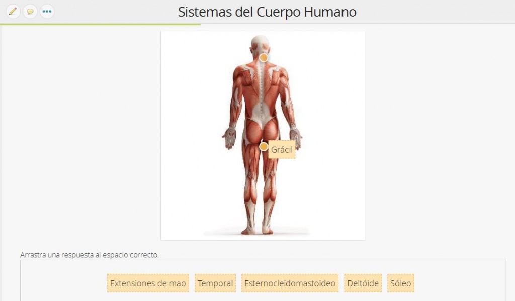 Etiquetar Imágenes - Cuerpo Humano